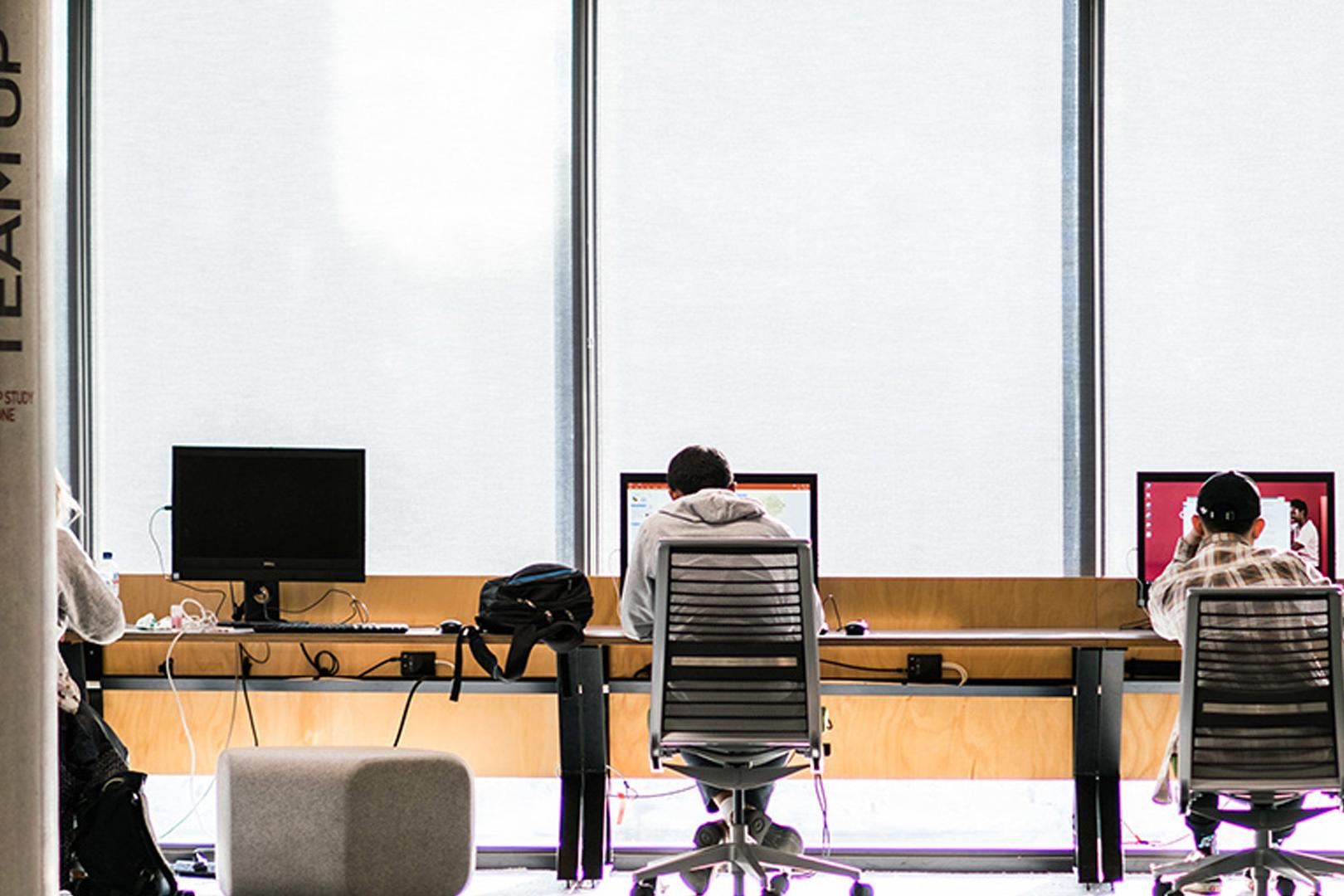 Image of two student interns at computers researching 